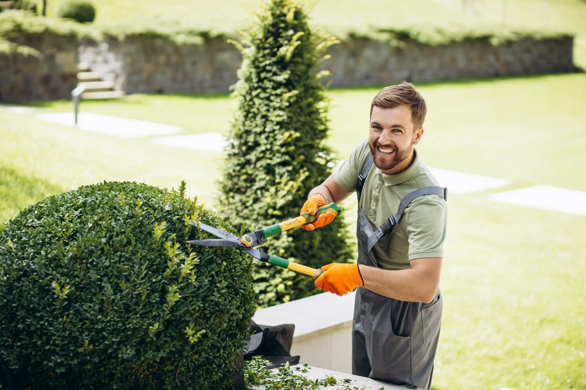 Giardiniere che esegue manutenzione del giardino con cesoie professionali