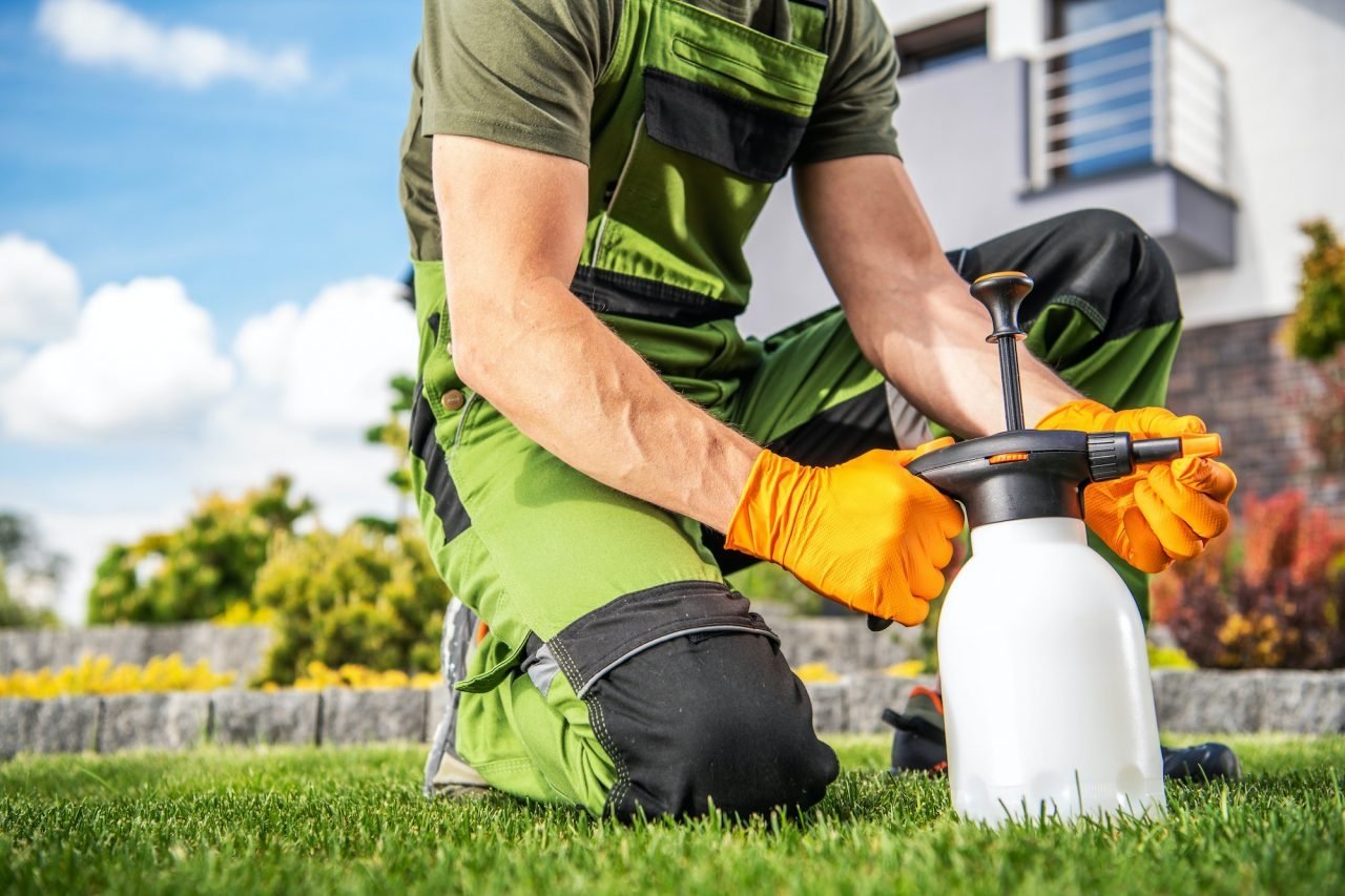 Attrezzatura professionale per trattamenti fungicidi e insetticidi da giardino