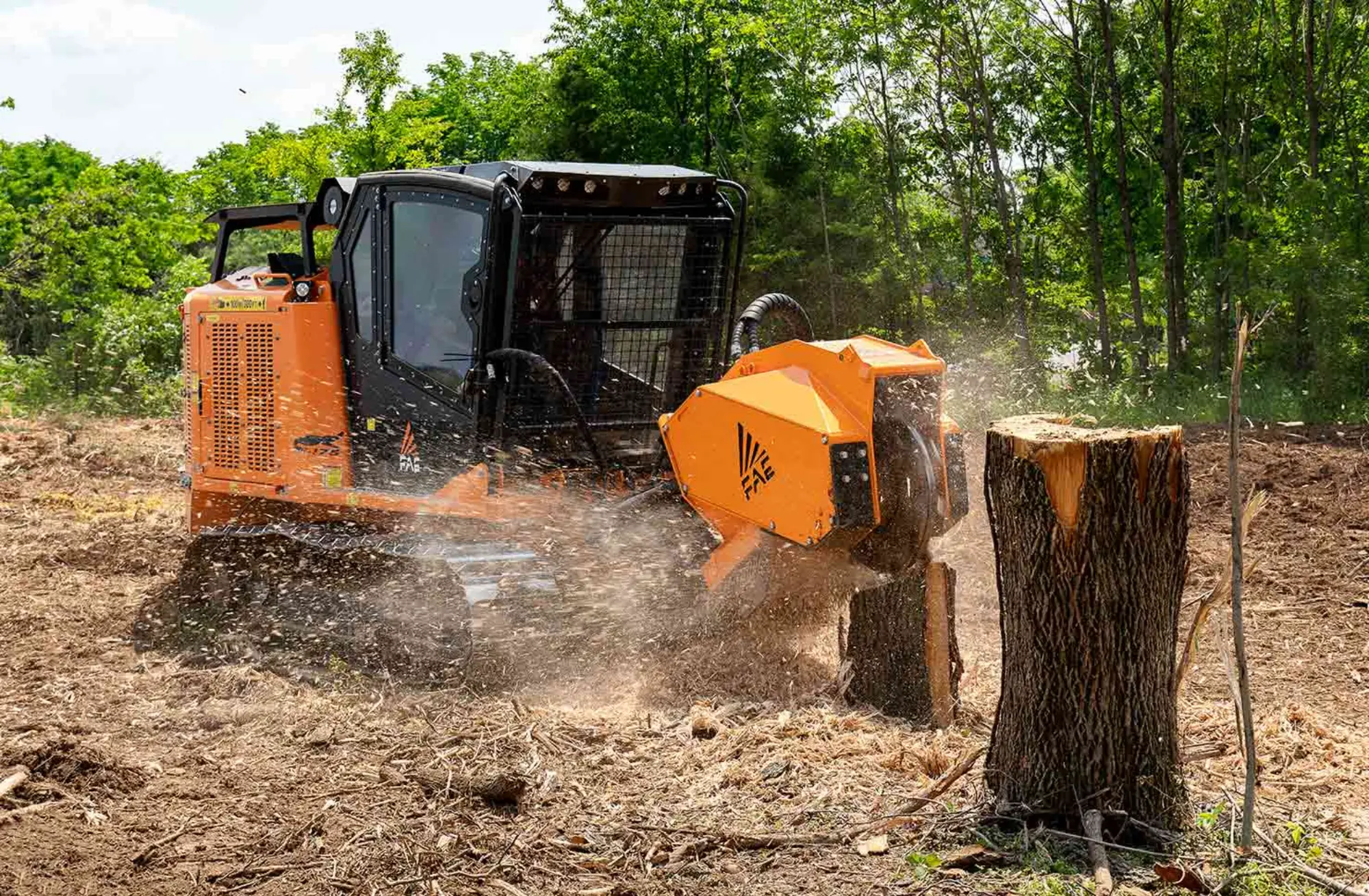 Fresatura professionale di ceppi di alberi per liberare spazio nel giardino
